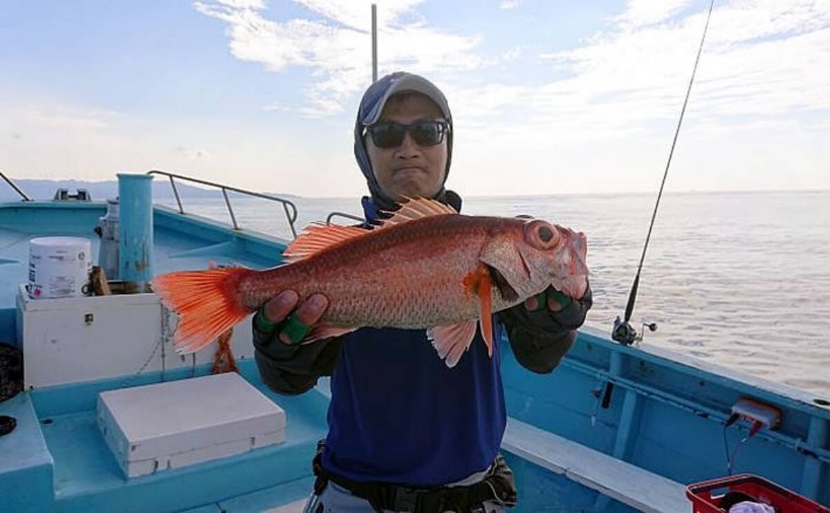 伊豆半島 沖の 高級魚 釣果速報 アカムツにキンメにシマアジも 年8月29日 エキサイトニュース