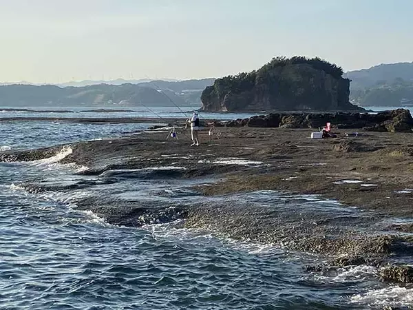 「磯での投げ釣りで予想外の53cm良型イシダイ手中【和歌山・天神崎】」の画像