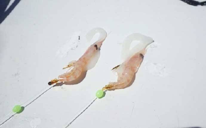 初の銭洲遠征に「シマアジ五目」がオススメのワケ5選　釣果料理も絶品