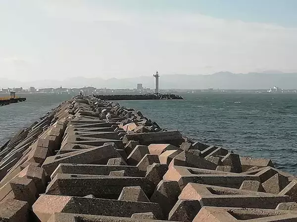 「ライトショアジギングでマゴチ手中　スピンテールにヒット【三重・津】」の画像