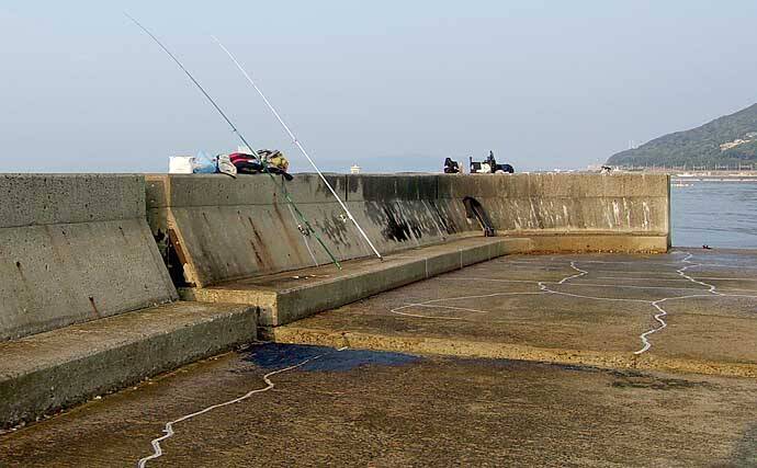 沖堤防での投げ釣りで五目釣果 海水浴場閉鎖で穴場に 須磨浦一文字 2020年9月14日 エキサイトニュース