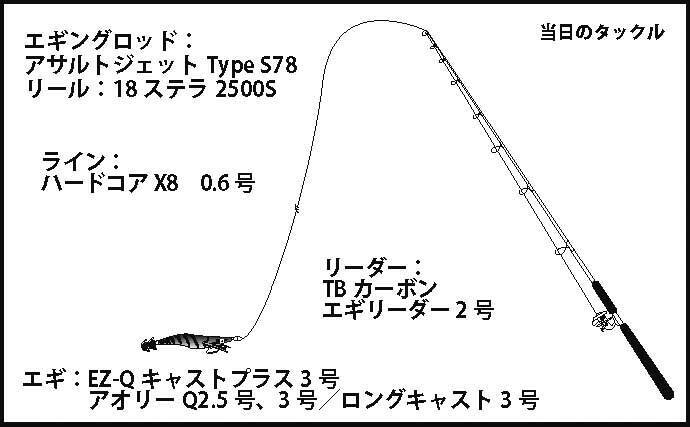 離島の沖堤防エギングでアオリ500g手中 新子は遅れ気味 篠島 年9月17日 エキサイトニュース 2 4