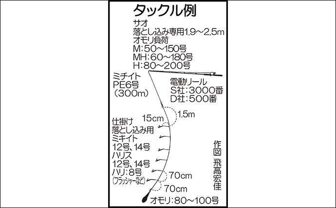 玄界灘 大人気 落とし込み釣り 入門 いよいよシーズン開幕 年9月12日 エキサイトニュース