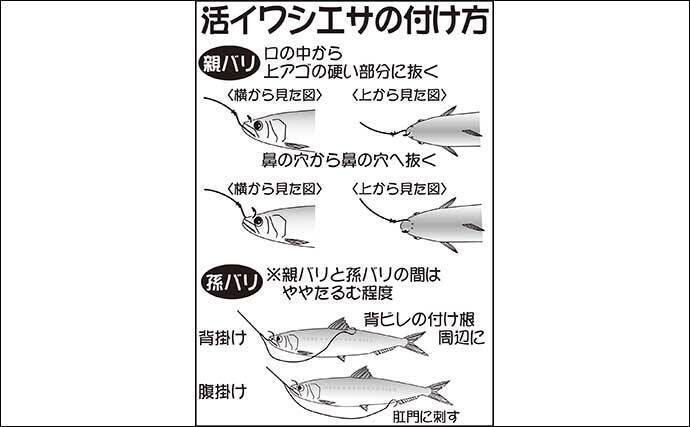 外房 ヒラメ釣りが部分解禁 タックル 釣り方の基本を解説 年9月16日 エキサイトニュース