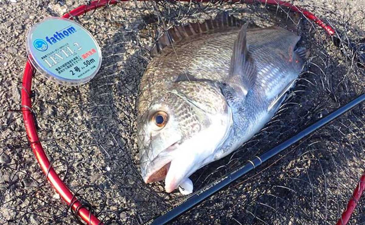 岸壁クロダイゲームの ちょっとかわった ルアー3選 消しゴムでok 年9月24日 エキサイトニュース