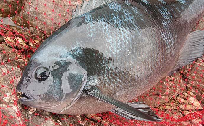 和歌山秋 磯竿の 号数 選択法 まずは万能な 1 25号 から 年9月23日 エキサイトニュース 2 3