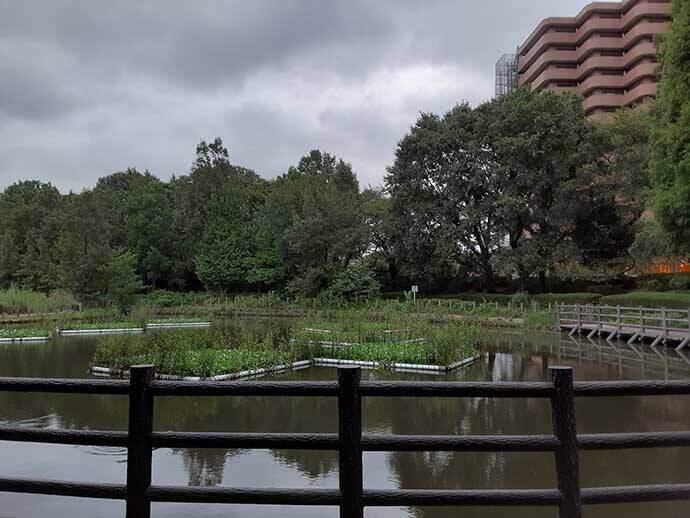 タナゴ釣りのマイ極意を紹介　狙い方で変わる『数と型』