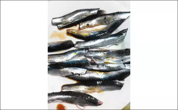 「広島県産『小イワシ』の入荷が2005年以降で最低レベルに　原因は豪雨？」の画像