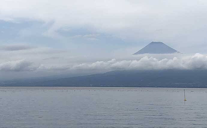 釣り初心者が『海上釣堀まるや』で青物をキャッチする方法5選【静岡】