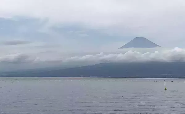 「釣り初心者が『海上釣堀まるや』で青物をキャッチする方法5選【静岡】」の画像