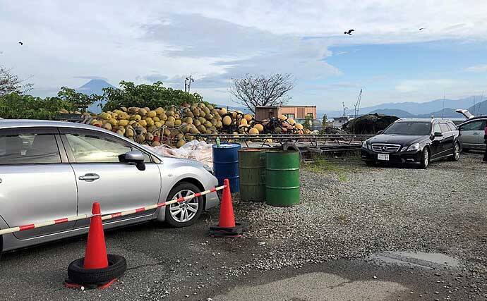 釣り初心者が『海上釣堀まるや』で青物をキャッチする方法5選【静岡】