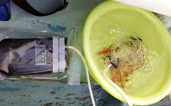 【東海2020】高級魚が手軽に狙える『ウタセ五目』　入門好機到来