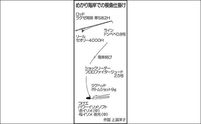 陸っぱりロックフィッシュゲームでタカバ登場【福岡・めかり海岸】