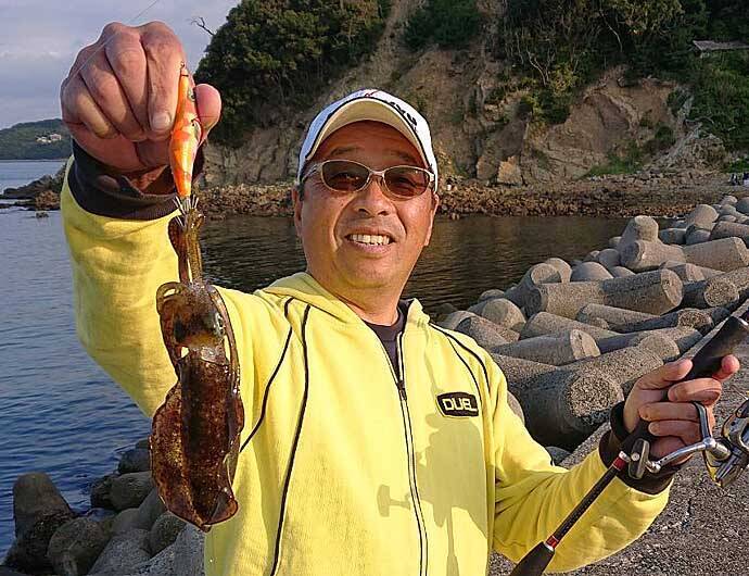 波止エギングで新子アオリイカと対面　表層でヒット【淡路島】