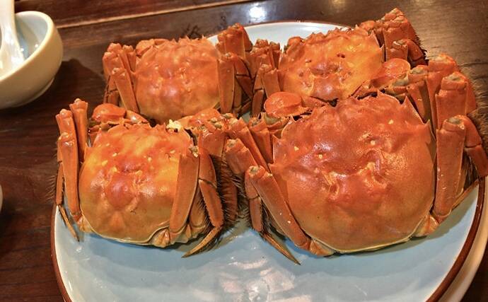 秋の味覚 モクズガニ漁 がスタート 実は高級 上海蟹 と同じ味 年10月9日 エキサイトニュース 2 2