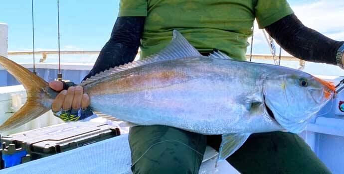 静岡 福井 沖のルアー釣り最新釣果 ジギングで良型 クエ 浮上 年10月5日 エキサイトニュース