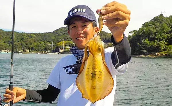 「イカダエギングで秋アオリ狙い　新子に混じり良型700g級も【日乃出屋】」の画像