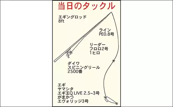 「イカダエギングで秋アオリ狙い　新子に混じり良型700g級も【日乃出屋】」の画像