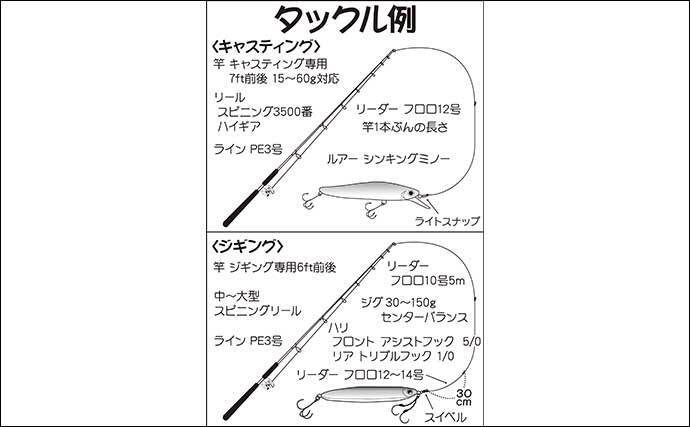 東京湾 オフショア青物ゲームの基本 タックル 釣り方を紹介 年10月8日 エキサイトニュース