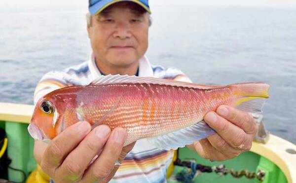 相模湾 アマダイ 釣りシーズン開始 35cm頭に本命5尾 まごうの丸 年10月13日 エキサイトニュース