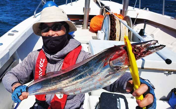 熊本 大分 沖釣り最新釣果 ドラゴン級タチウオにマダイが好調 年10月14日 エキサイトニュース