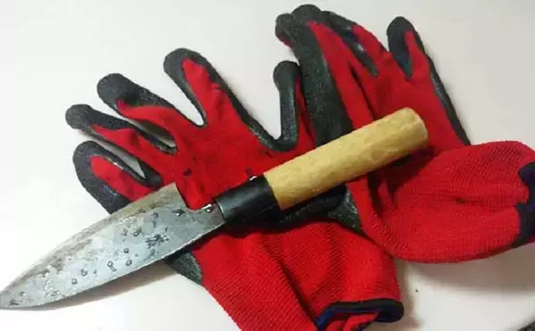 「ペットボトル仕掛けで『スッポン釣り』　鍋＆雑炊を堪能【埼玉・荒川】」の画像