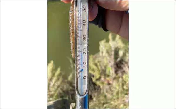 「【東北2020秋】人気フィールド『八郎潟』のブラックバス攻略法3選」の画像