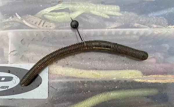 「【東北2020秋】人気フィールド『八郎潟』のブラックバス攻略法3選」の画像