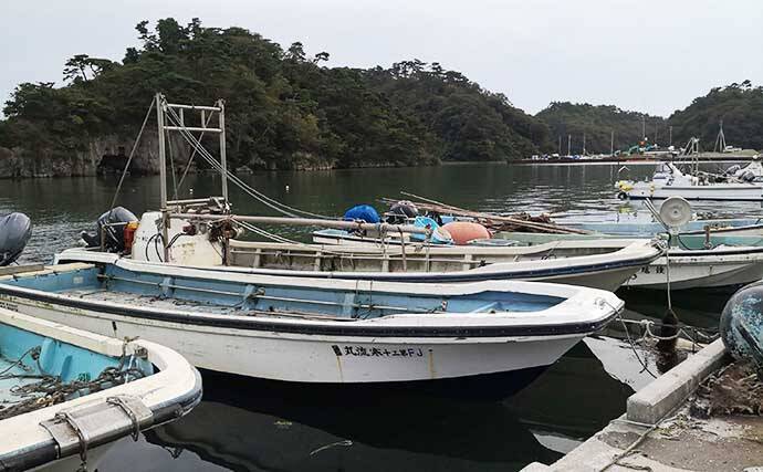 ヘラブナ竿流用の秋ハゼ「ミャク釣り」で本命20匹手中【宮城・松島】