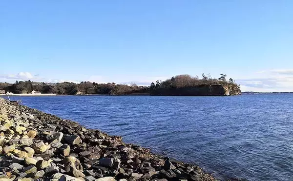 「ヘラブナ竿流用の秋ハゼ「ミャク釣り」で本命20匹手中【宮城・松島】」の画像