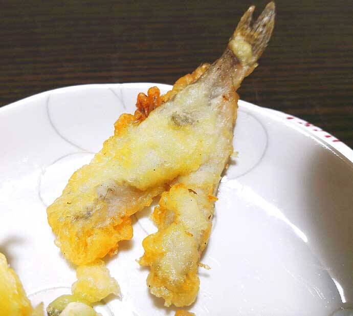 ヘラブナ竿流用の秋ハゼ「ミャク釣り」で本命20匹手中【宮城・松島】