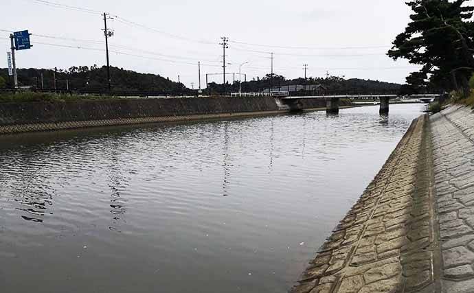 ヘラブナ竿流用の秋ハゼ「ミャク釣り」で本命20匹手中【宮城・松島】