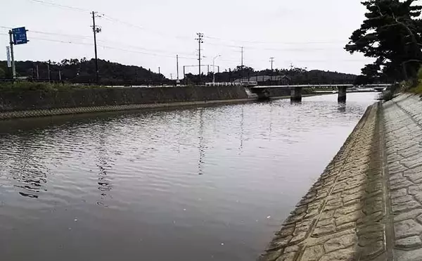 「ヘラブナ竿流用の秋ハゼ「ミャク釣り」で本命20匹手中【宮城・松島】」の画像