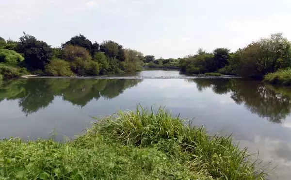 「今週のヘラブナ推薦釣り場【埼玉県・越辺川】」の画像