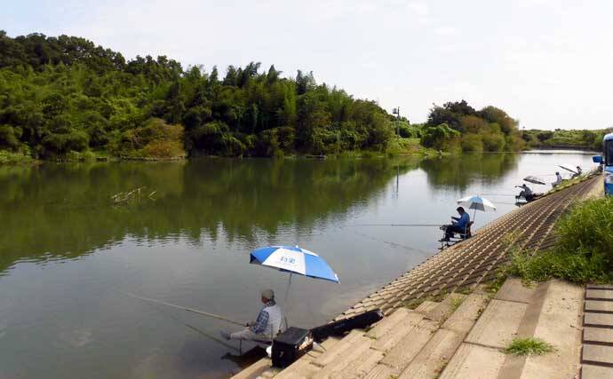 今週のヘラブナ推薦釣り場 埼玉県 越辺川 年10月13日 エキサイトニュース