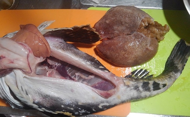 魚介類の 食べるな危険 部位 ハコフグの肝 昔は無毒とされていた 年7月2日 エキサイトニュース