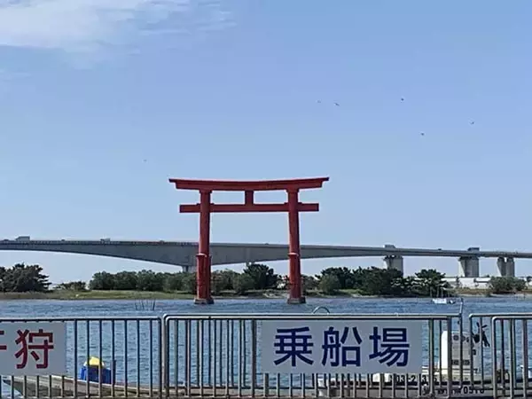 「見えているハゼをエサ釣り狙う　20cm頭に良型中心17匹【浜名湖】」の画像