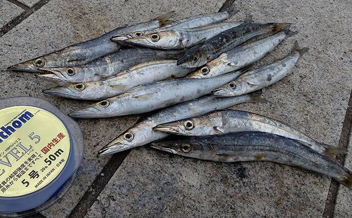 清水港秋 カマス釣り初心者入門 あなたはエサ派 ルアー派 年10月16日 エキサイトニュース 2 3