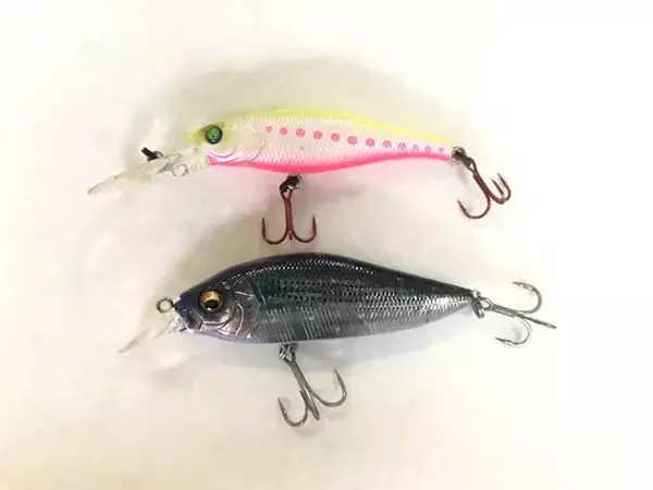 「【東海2020】岸壁シーバスゲーム攻略法　ルアーにひと手間が秘策？」の画像