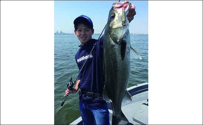 【東海2020】岸壁シーバスゲーム攻略法　ルアーにひと手間が秘策？