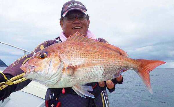 落とし込み釣り が秋の本格期突入 青物以外の大型魚も続々 愛媛 年10月27日 エキサイトニュース