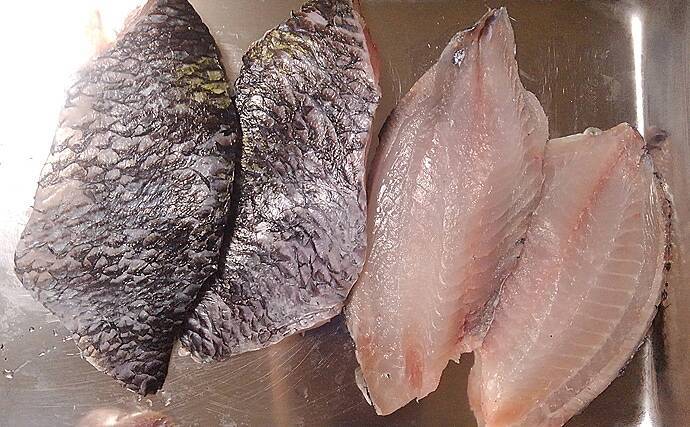 『オヤビッチャ』の繁殖に国内初成功　名前は変でも食味は抜群だった？