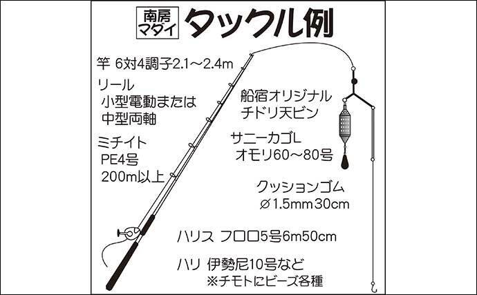 南房秋 大型狙い コマセマダイ釣り 入門 好ゲストにシマアジ 年10月21日 エキサイトニュース