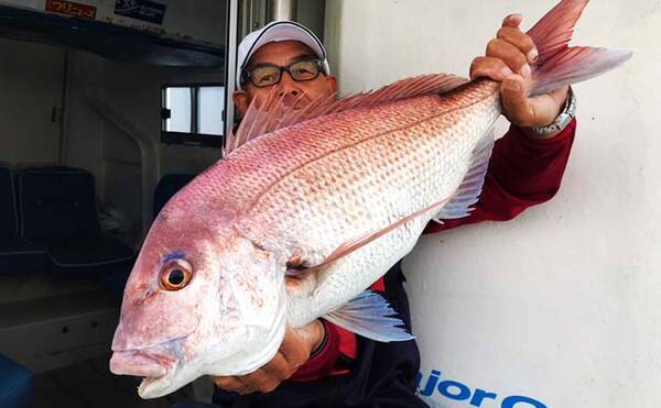 愛知 沖のルアー釣り最新釣果 タイラバで大型 秋マダイ 顔出し 年10月23日 エキサイトニュース