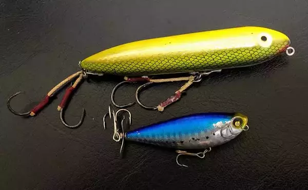 「身近な大物「コイ」はルアーで釣れる？　『コイトップゲーム』攻略法3選」の画像