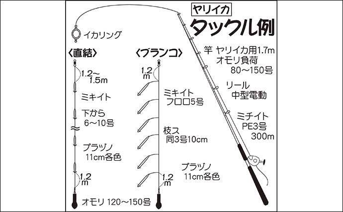 関東秋 シーズン開幕 ヤリイカ 入門 タックル 釣り方キホン 年10月27日 エキサイトニュース