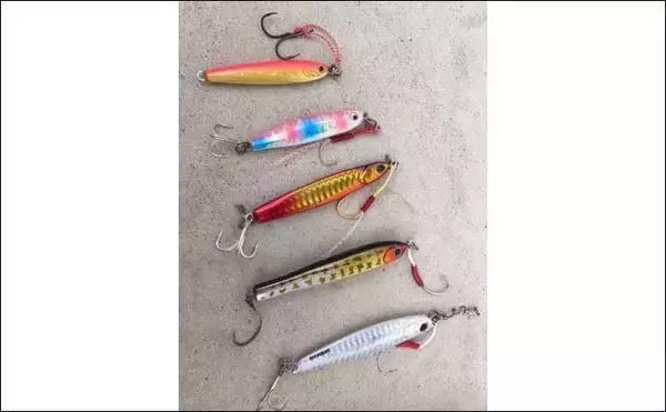 「激混みの堤防で青物祭りに参戦　ショアジギ初挑戦でハマチ手中【香川】」の画像