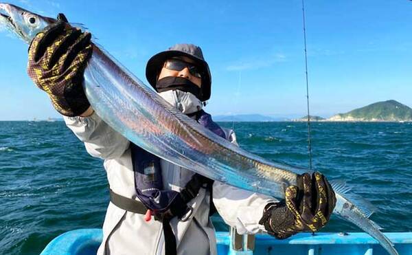 愛知 沖のエサ釣り最新釣果 良型混じりでタチウオ97匹と絶好機到来 年10月31日 エキサイトニュース