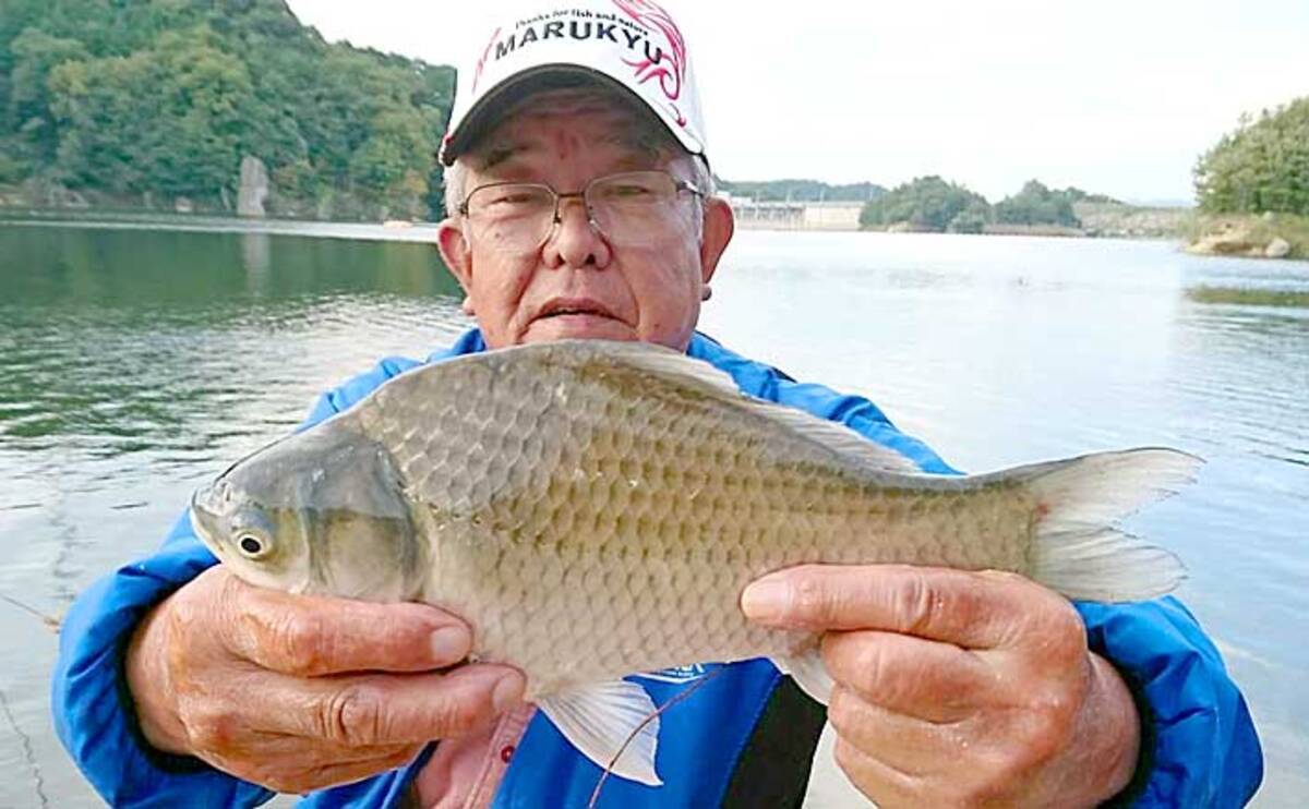 ダム湖で秋のヘラブナ釣り満喫 もじりに合わせて30匹超手中 布目ダム 年11月10日 エキサイトニュース 3 3