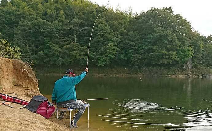 ダム湖で秋のヘラブナ釣り満喫 もじりに合わせて30匹超手中 布目ダム 年11月10日 エキサイトニュース 3 3